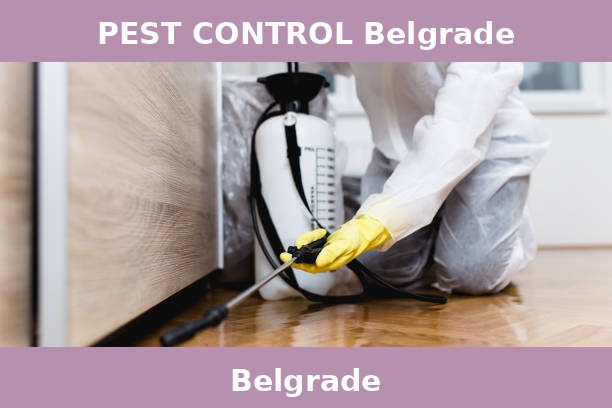 PEST CONTROL Belgrade